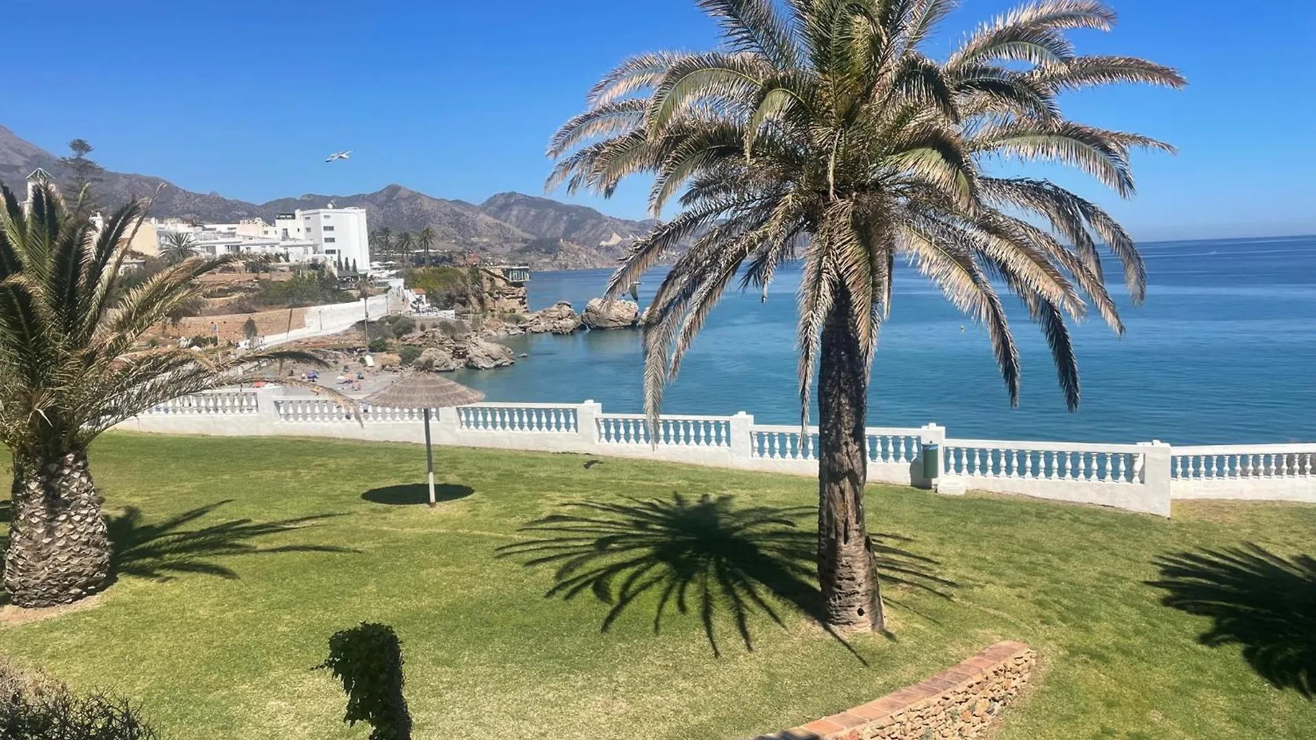 Palmeras 8 Menyber location
